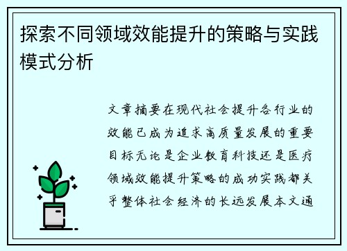 探索不同领域效能提升的策略与实践模式分析