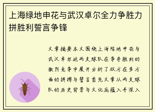 上海绿地申花与武汉卓尔全力争胜力拼胜利誓言争锋
