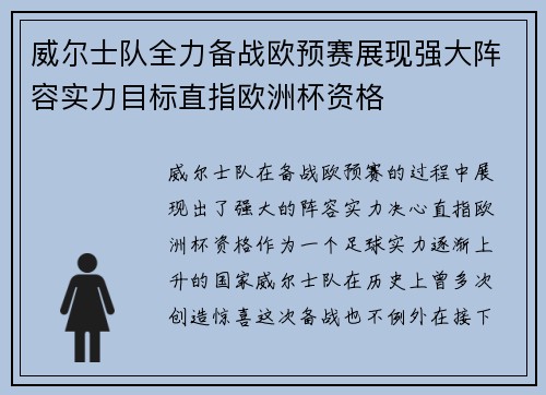 威尔士队全力备战欧预赛展现强大阵容实力目标直指欧洲杯资格
