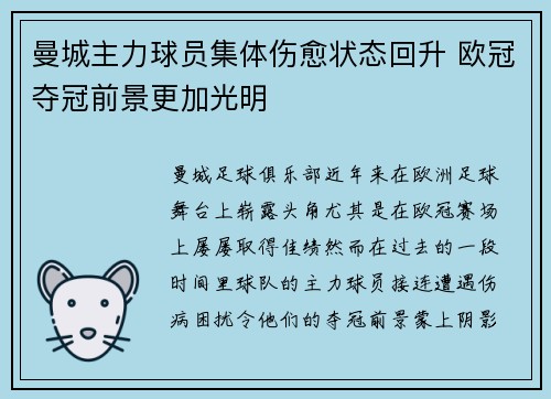 曼城主力球员集体伤愈状态回升 欧冠夺冠前景更加光明