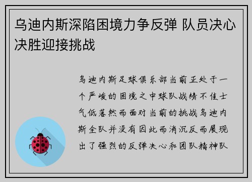 乌迪内斯深陷困境力争反弹 队员决心决胜迎接挑战